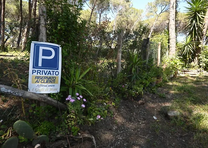 Affittacamere I Gigli Di Mare