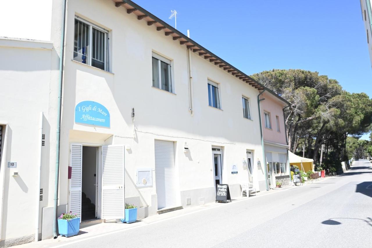 I Gigli Di Mare 3*