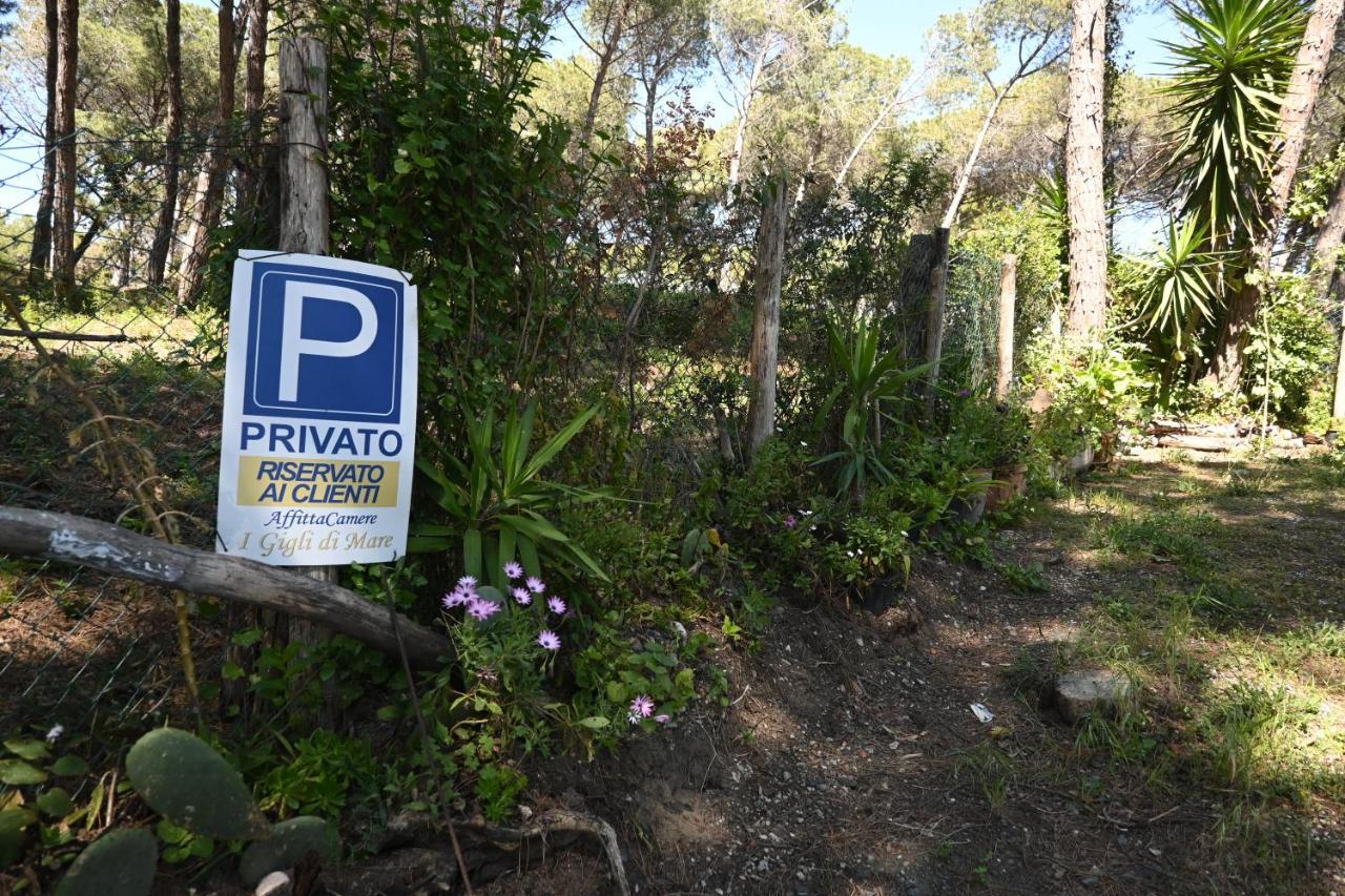 I Gigli Di Mare Casa de hóspedes